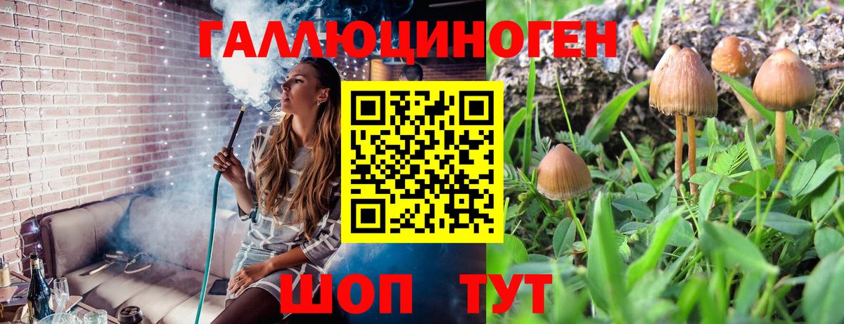 Галлюциногенные грибы Cubensis Октябрьский